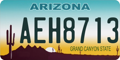 AZ license plate AEH8713