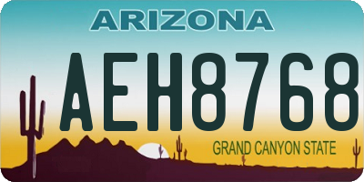 AZ license plate AEH8768
