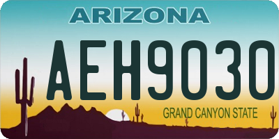 AZ license plate AEH9030