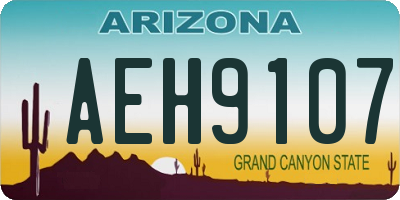 AZ license plate AEH9107