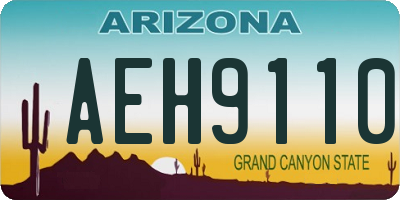 AZ license plate AEH9110