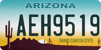 AZ license plate AEH9519