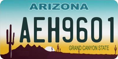 AZ license plate AEH9601