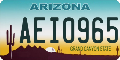 AZ license plate AEI0965