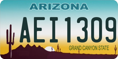 AZ license plate AEI1309