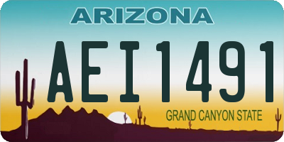 AZ license plate AEI1491