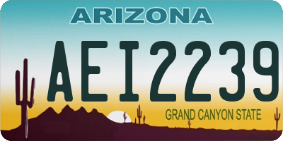 AZ license plate AEI2239