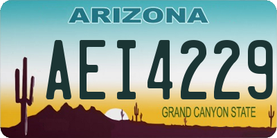 AZ license plate AEI4229