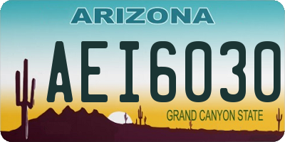 AZ license plate AEI6030