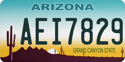AZ license plate AEI7829