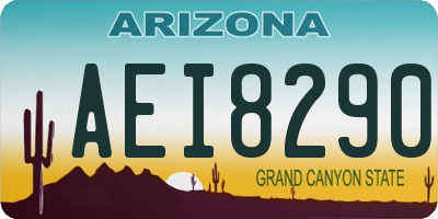 AZ license plate AEI8290