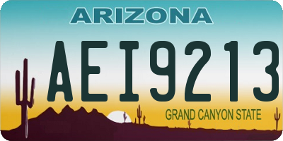 AZ license plate AEI9213