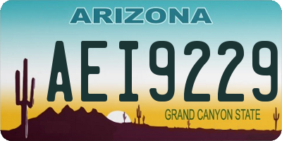 AZ license plate AEI9229