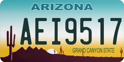 AZ license plate AEI9517