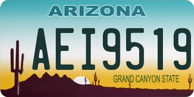 AZ license plate AEI9519