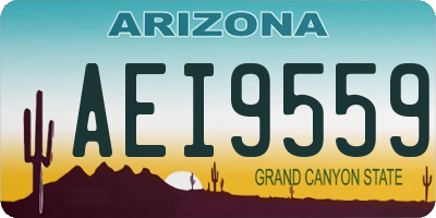 AZ license plate AEI9559