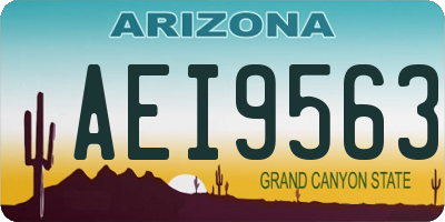 AZ license plate AEI9563