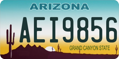 AZ license plate AEI9856