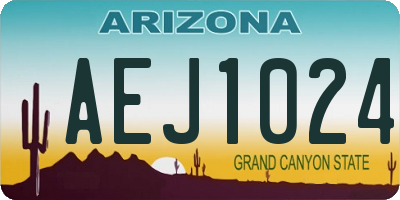 AZ license plate AEJ1024