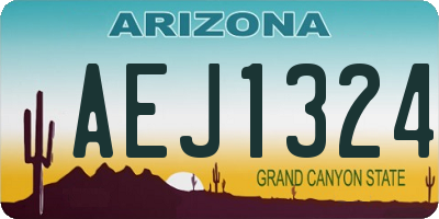 AZ license plate AEJ1324