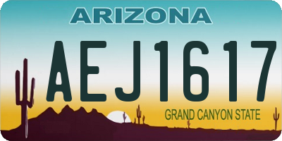 AZ license plate AEJ1617