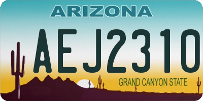 AZ license plate AEJ2310