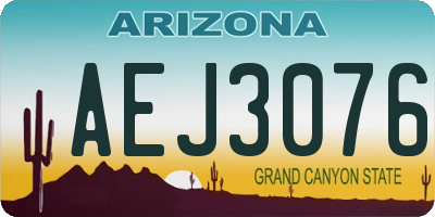 AZ license plate AEJ3076