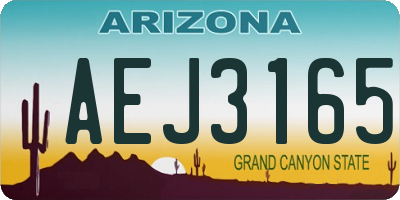 AZ license plate AEJ3165