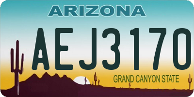 AZ license plate AEJ3170