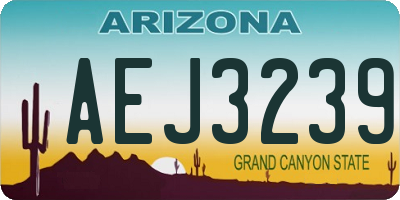 AZ license plate AEJ3239
