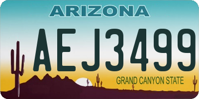 AZ license plate AEJ3499