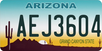 AZ license plate AEJ3604