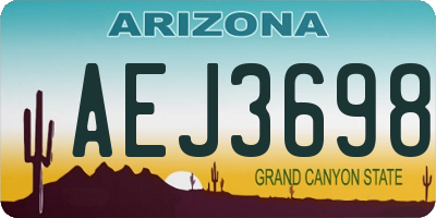 AZ license plate AEJ3698