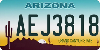 AZ license plate AEJ3818