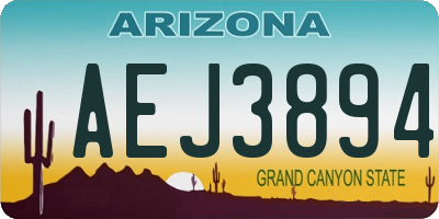 AZ license plate AEJ3894