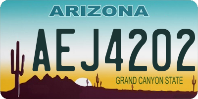 AZ license plate AEJ4202