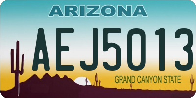 AZ license plate AEJ5013