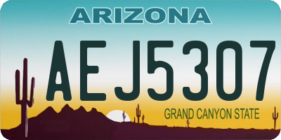 AZ license plate AEJ5307