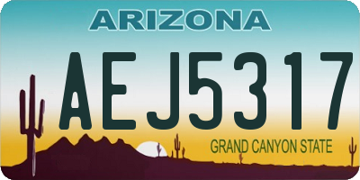 AZ license plate AEJ5317