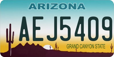 AZ license plate AEJ5409