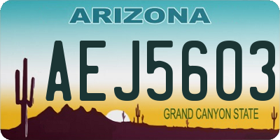 AZ license plate AEJ5603