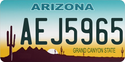 AZ license plate AEJ5965