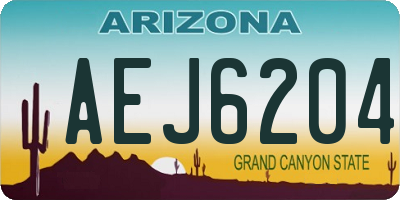 AZ license plate AEJ6204