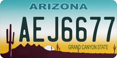 AZ license plate AEJ6677