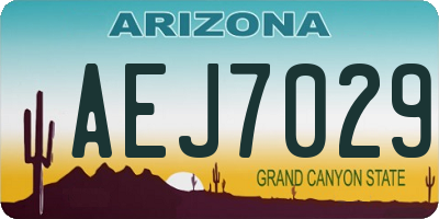 AZ license plate AEJ7029