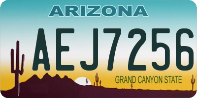 AZ license plate AEJ7256