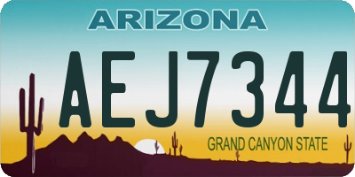 AZ license plate AEJ7344