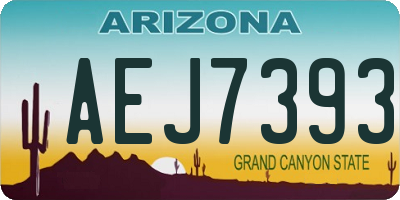 AZ license plate AEJ7393