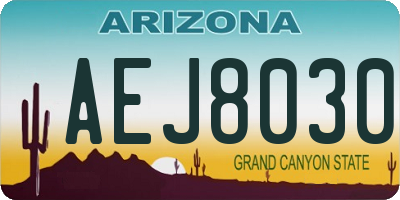 AZ license plate AEJ8030