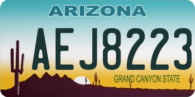 AZ license plate AEJ8223